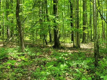 Hagerman Road, Chemung, NY 14825