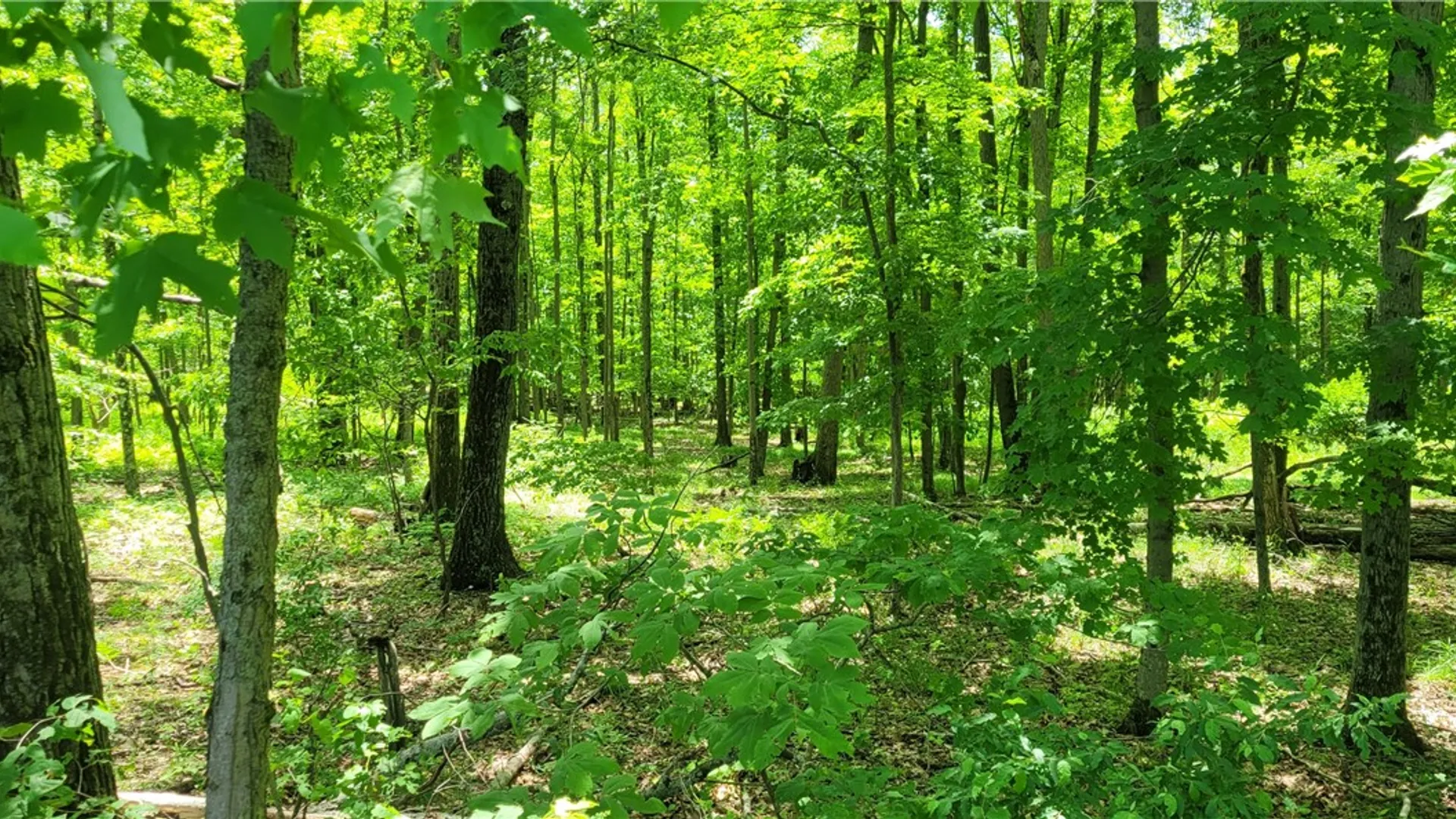 Property at Hagerman Road, Chemung, NY 14825 2