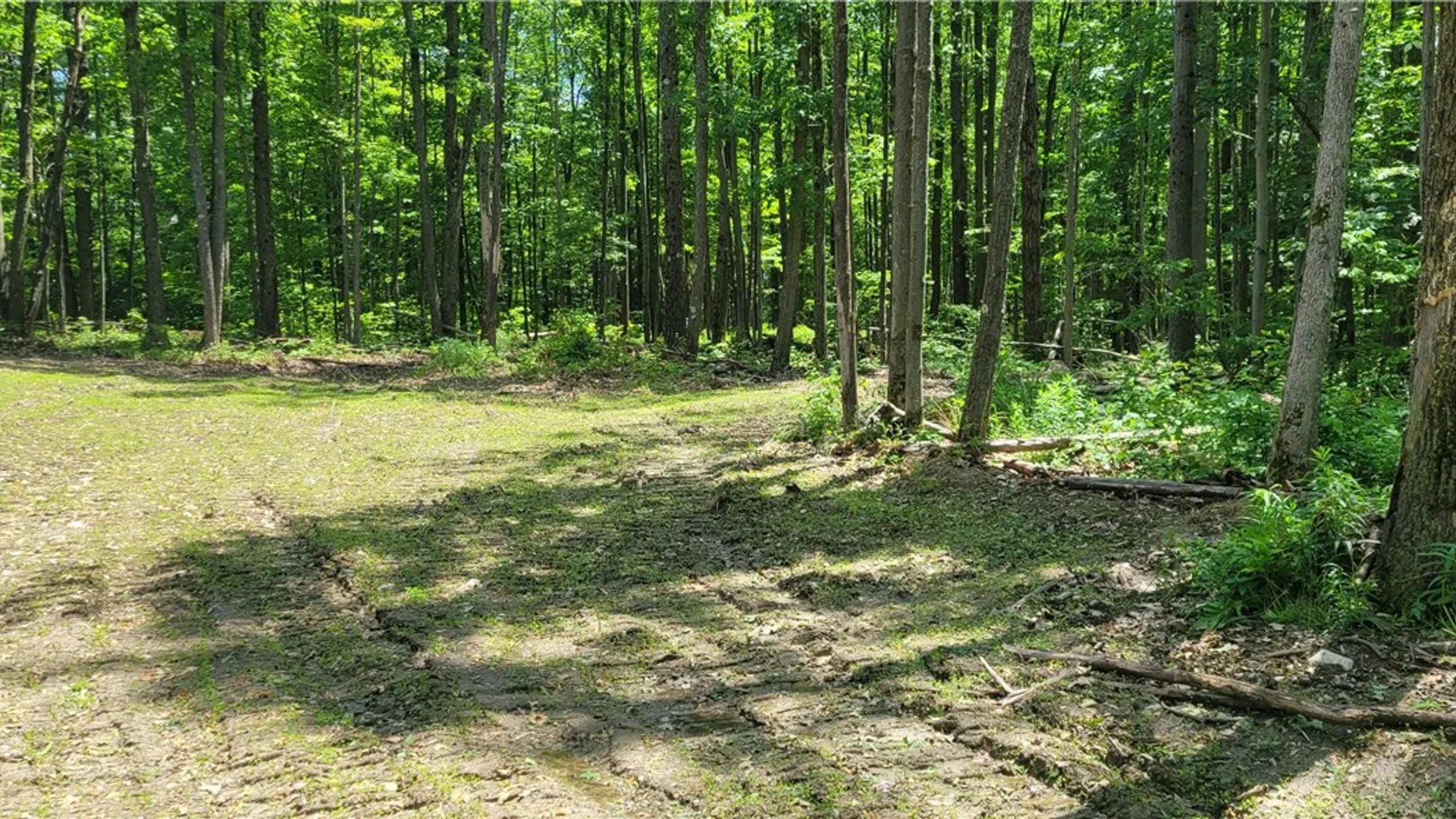 Property at Hagerman Road, Chemung, NY 14825 3