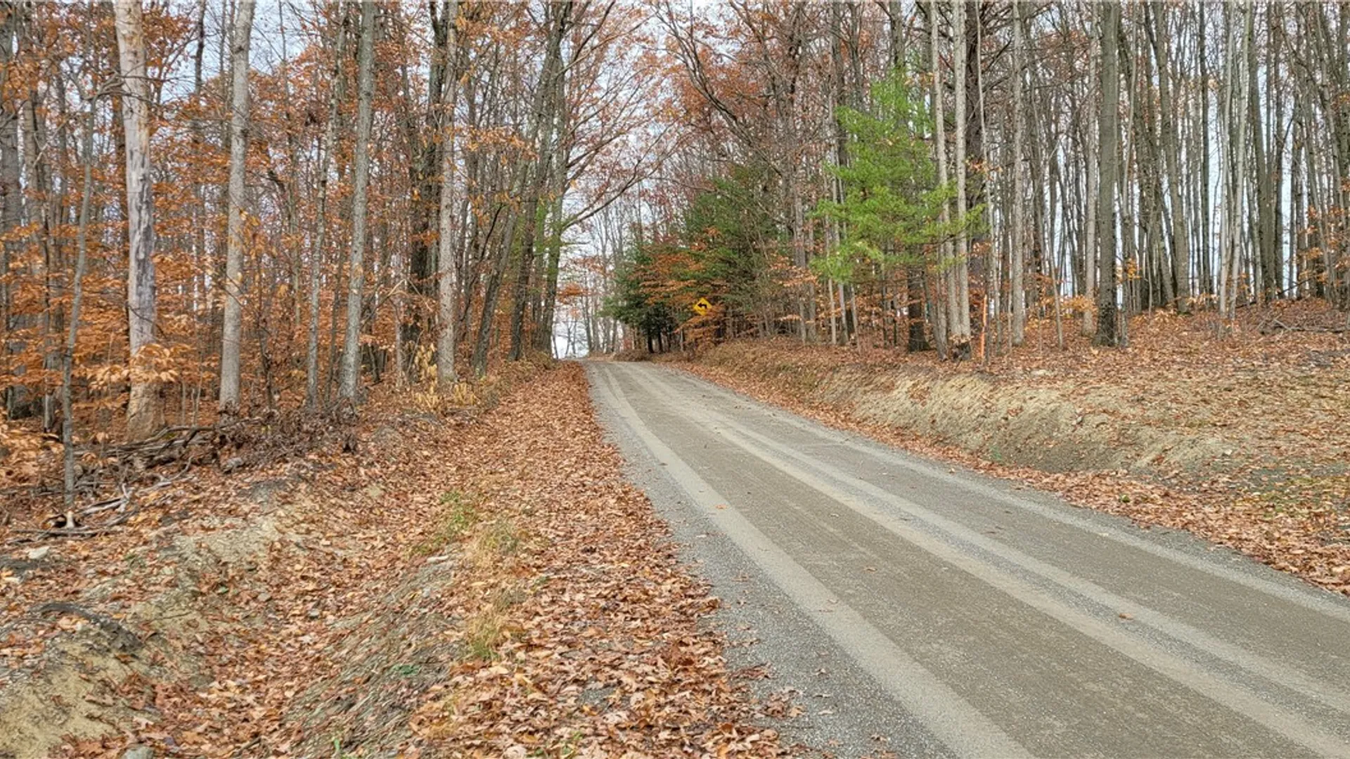 Property at Hagerman Road, Chemung, NY 14825 4