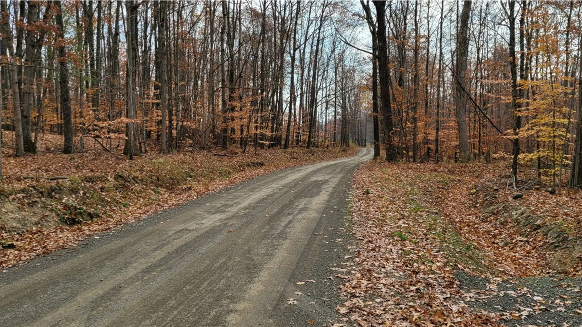 Property at Hagerman Road, Chemung, NY 14825 5