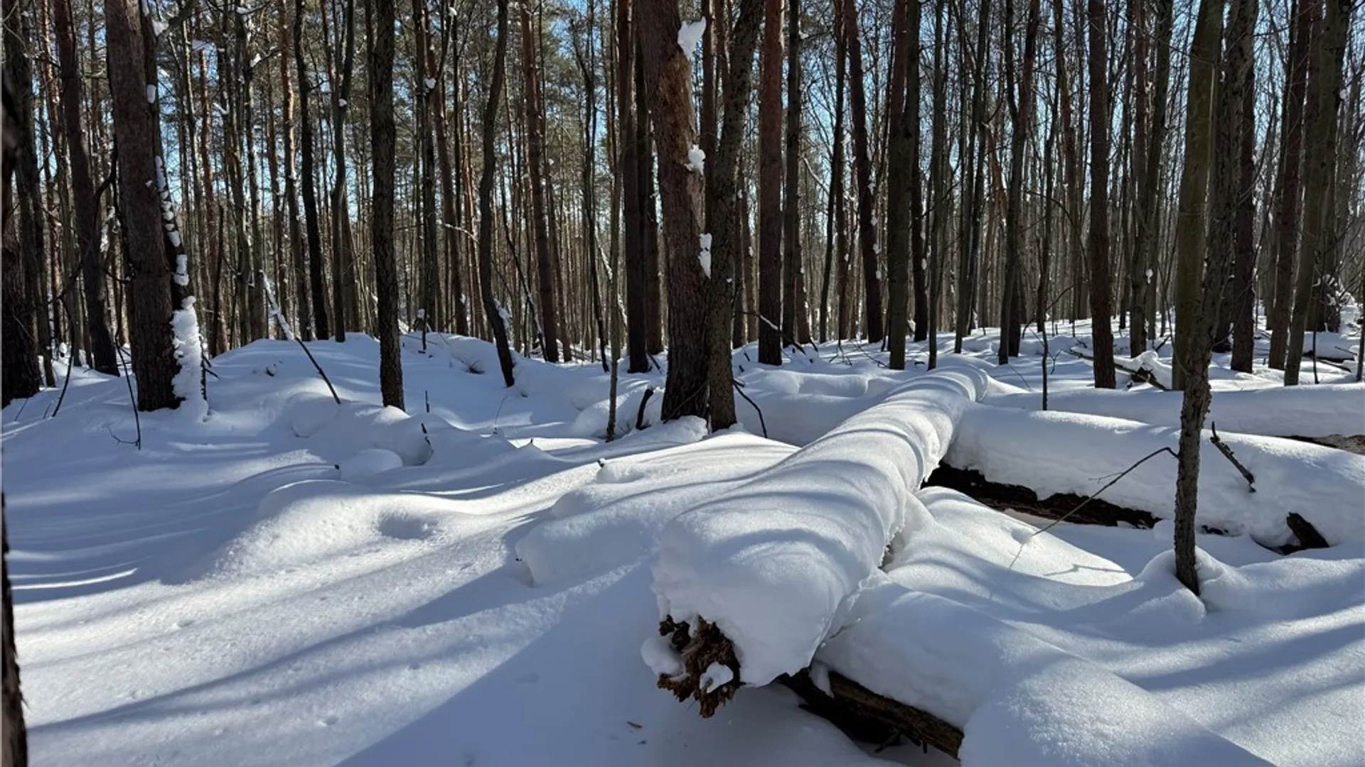 Property at 10934 Harlow Rd Road, Darien, NY 14040 11