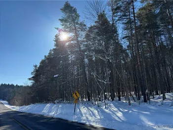 10934 Harlow Rd Road, Darien, NY 14040