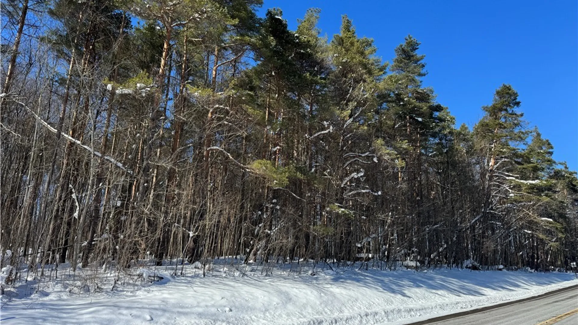 Property at 10934 Harlow Rd Road, Darien, NY 14040 2