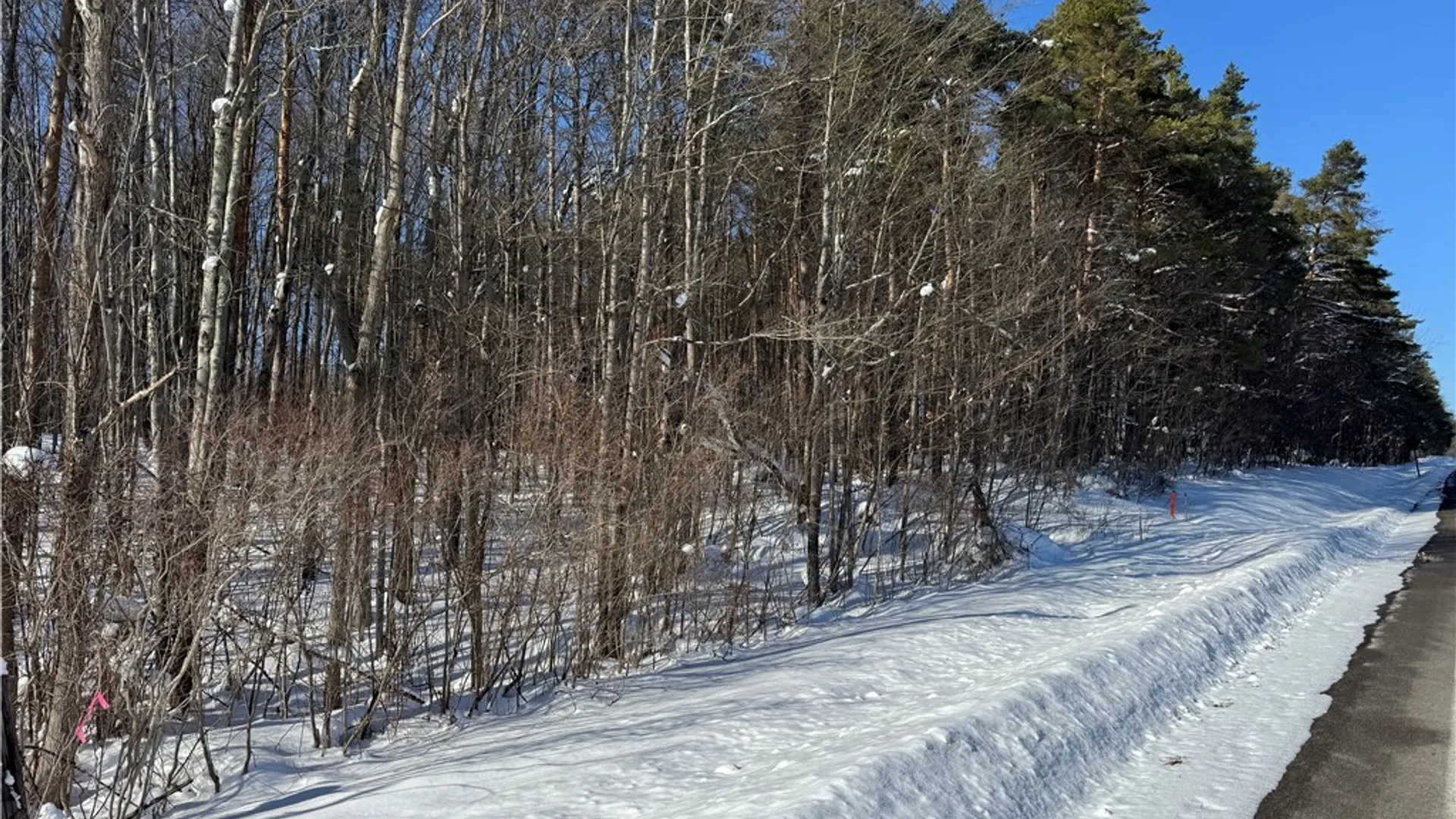 Property at 10934 Harlow Rd Road, Darien, NY 14040 3