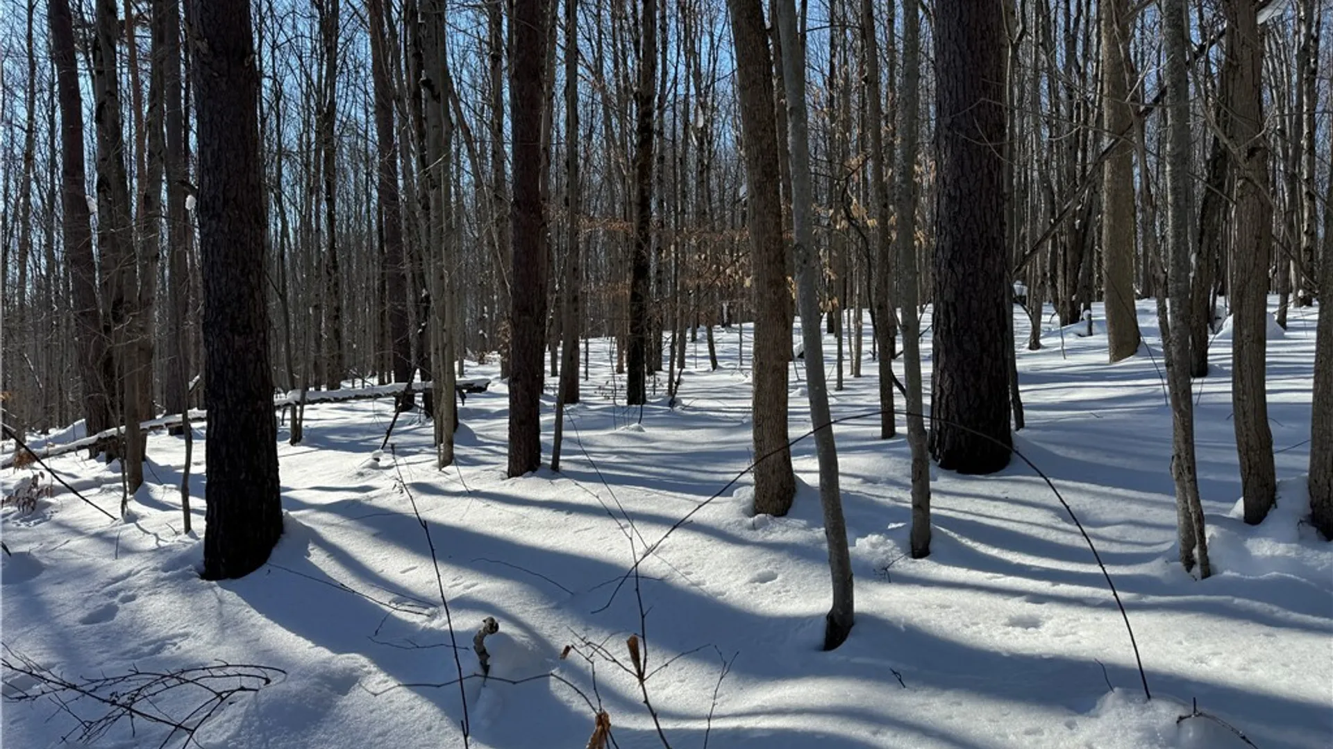 Property at 10934 Harlow Rd Road, Darien, NY 14040 4