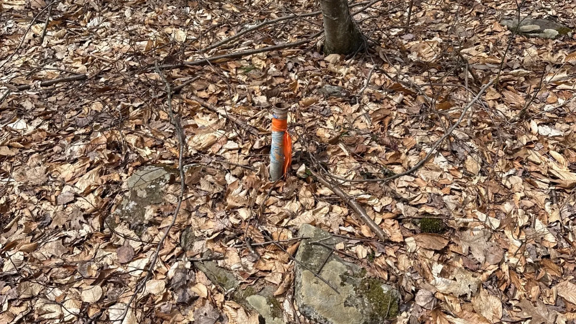 Property at 159 White Birch Lake, Windsor, NY 13865 16