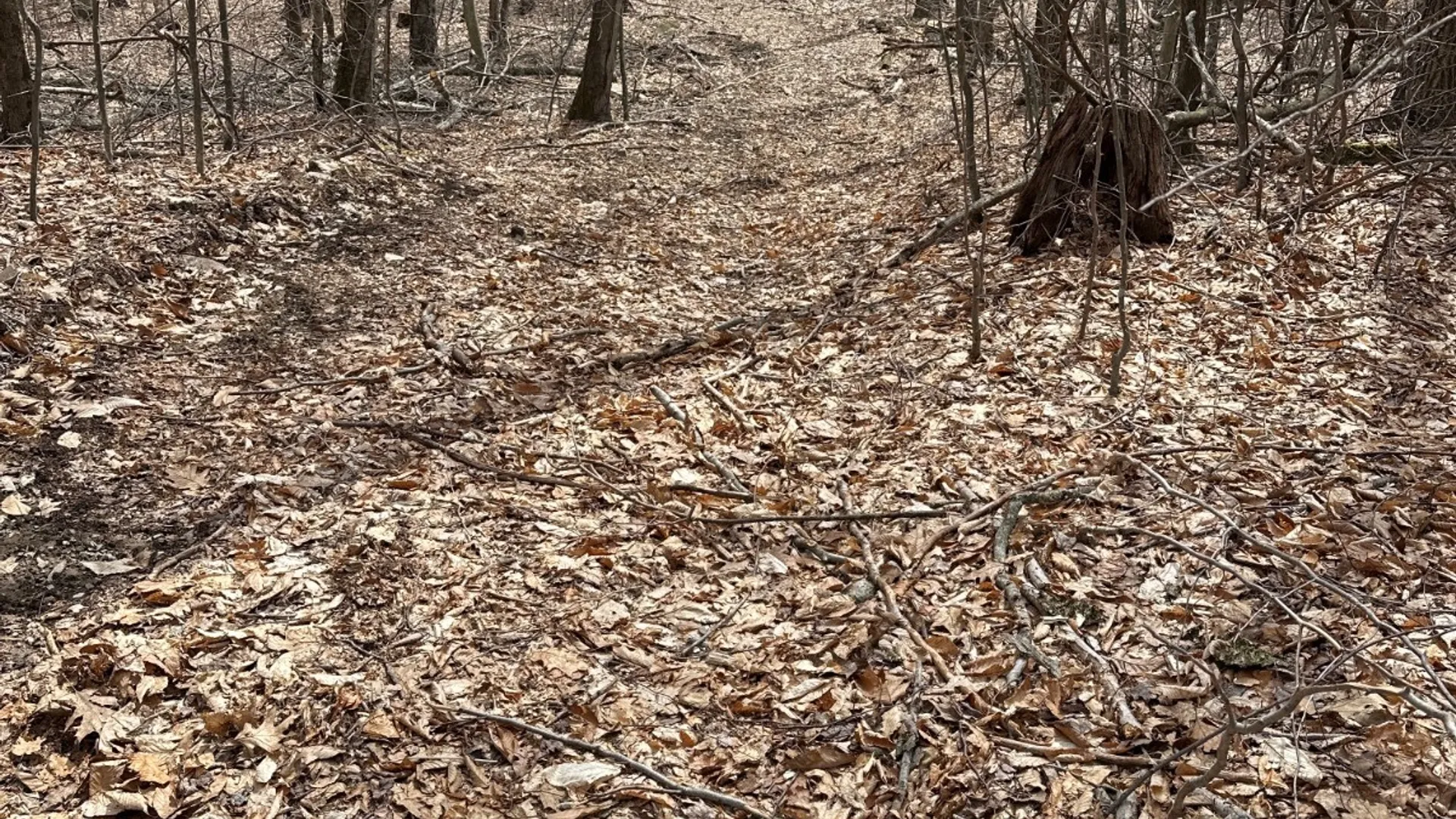 Property at 159 White Birch Lake, Windsor, NY 13865 19