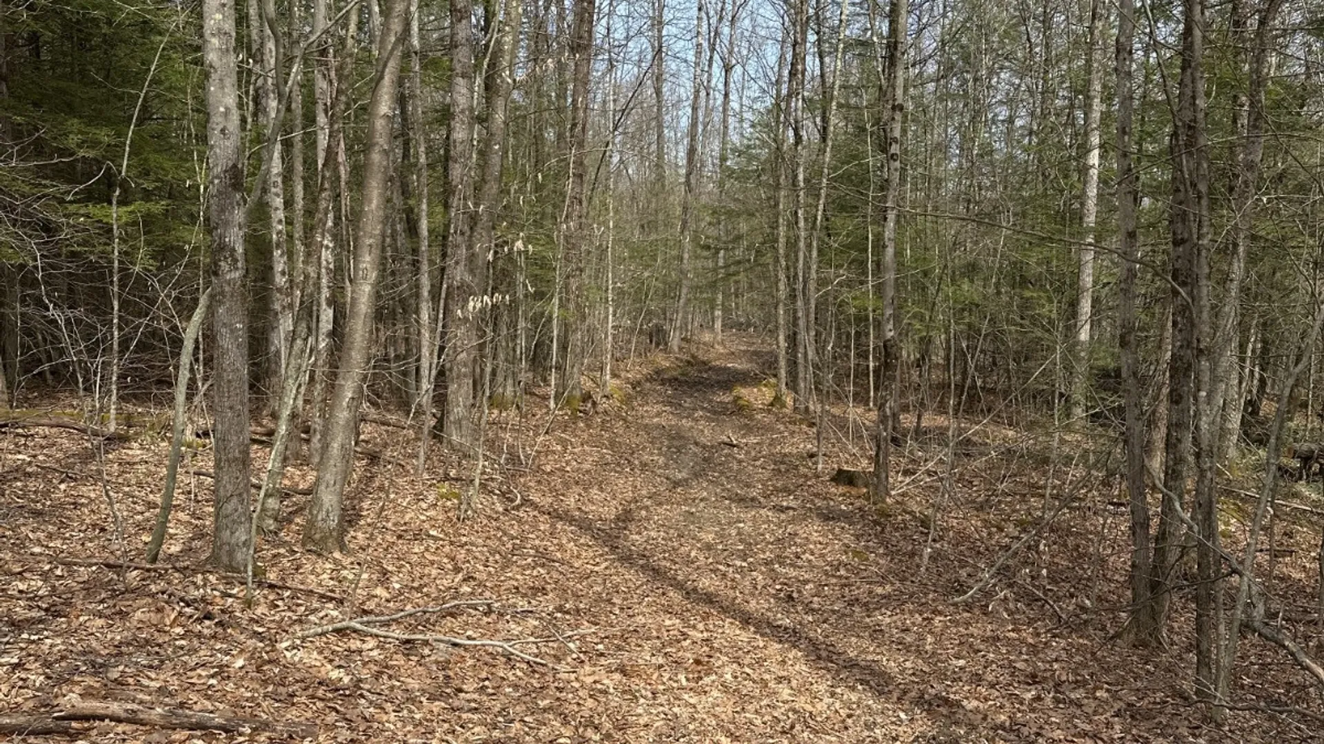 Property at 159 White Birch Lake, Windsor, NY 13865 22