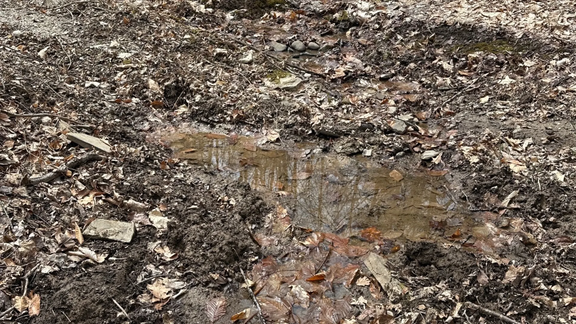 Property at 159 White Birch Lake, Windsor, NY 13865 24