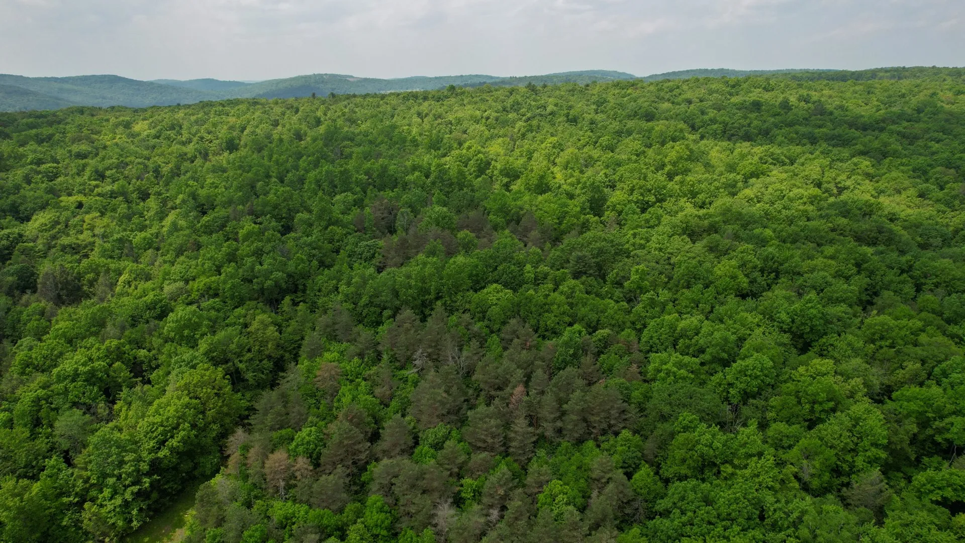 Property at 159 White Birch Lake, Windsor, NY 13865 6