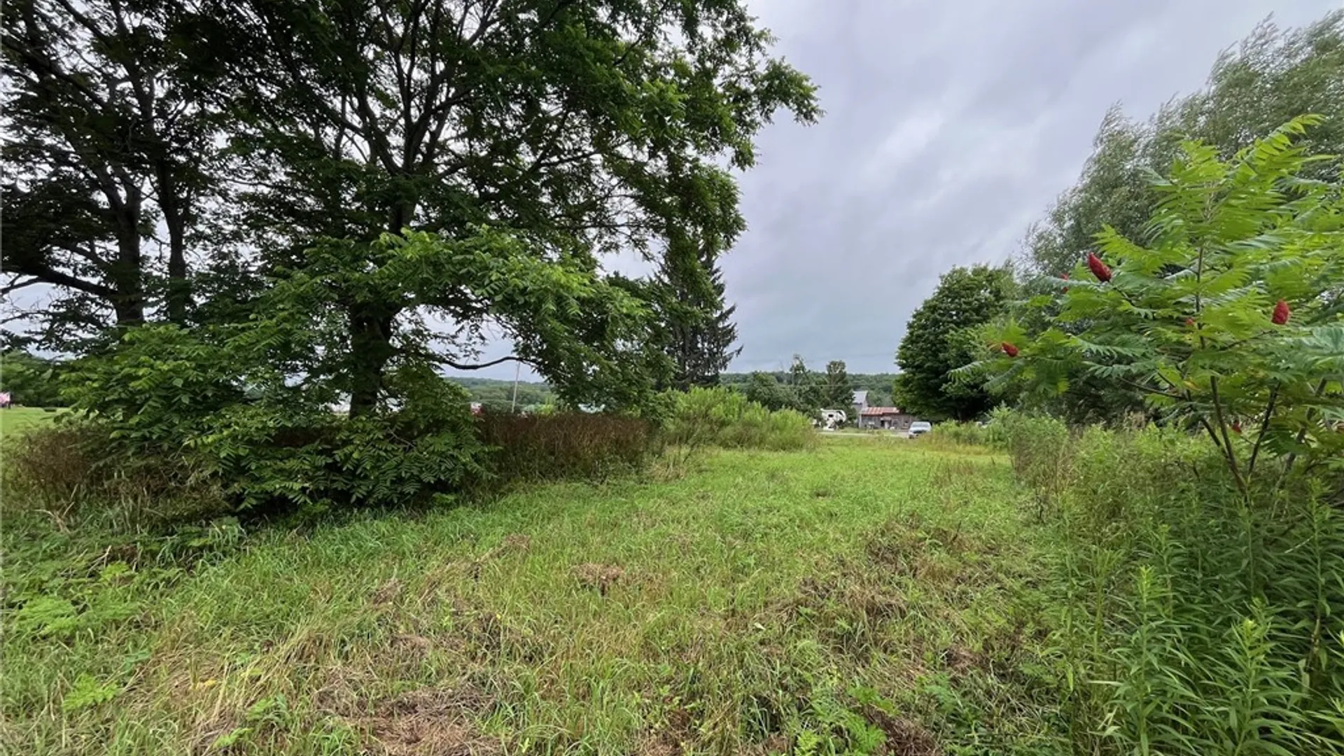 Property at 489 Route 62, Ellington, NY 14726 16