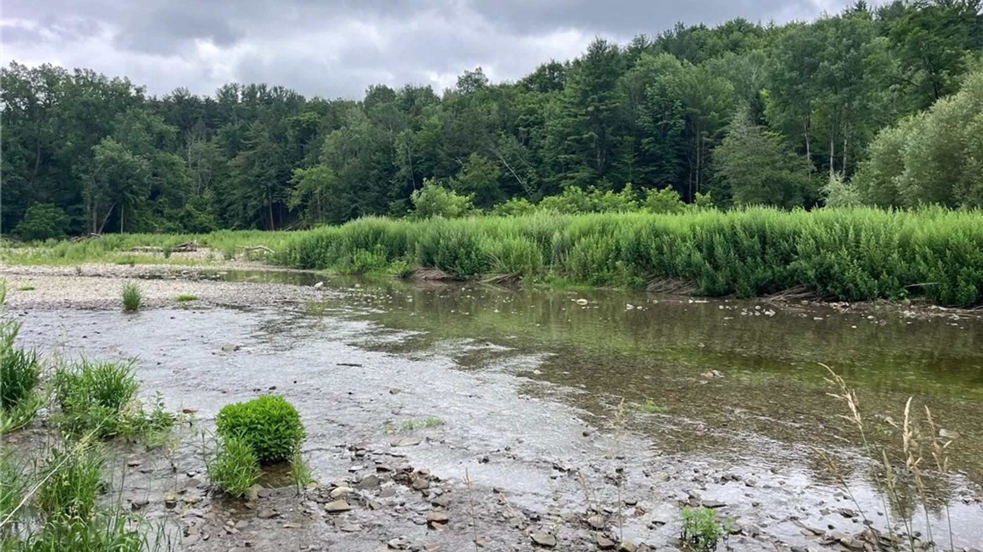 Property at 489 Route 62, Ellington, NY 14726 22