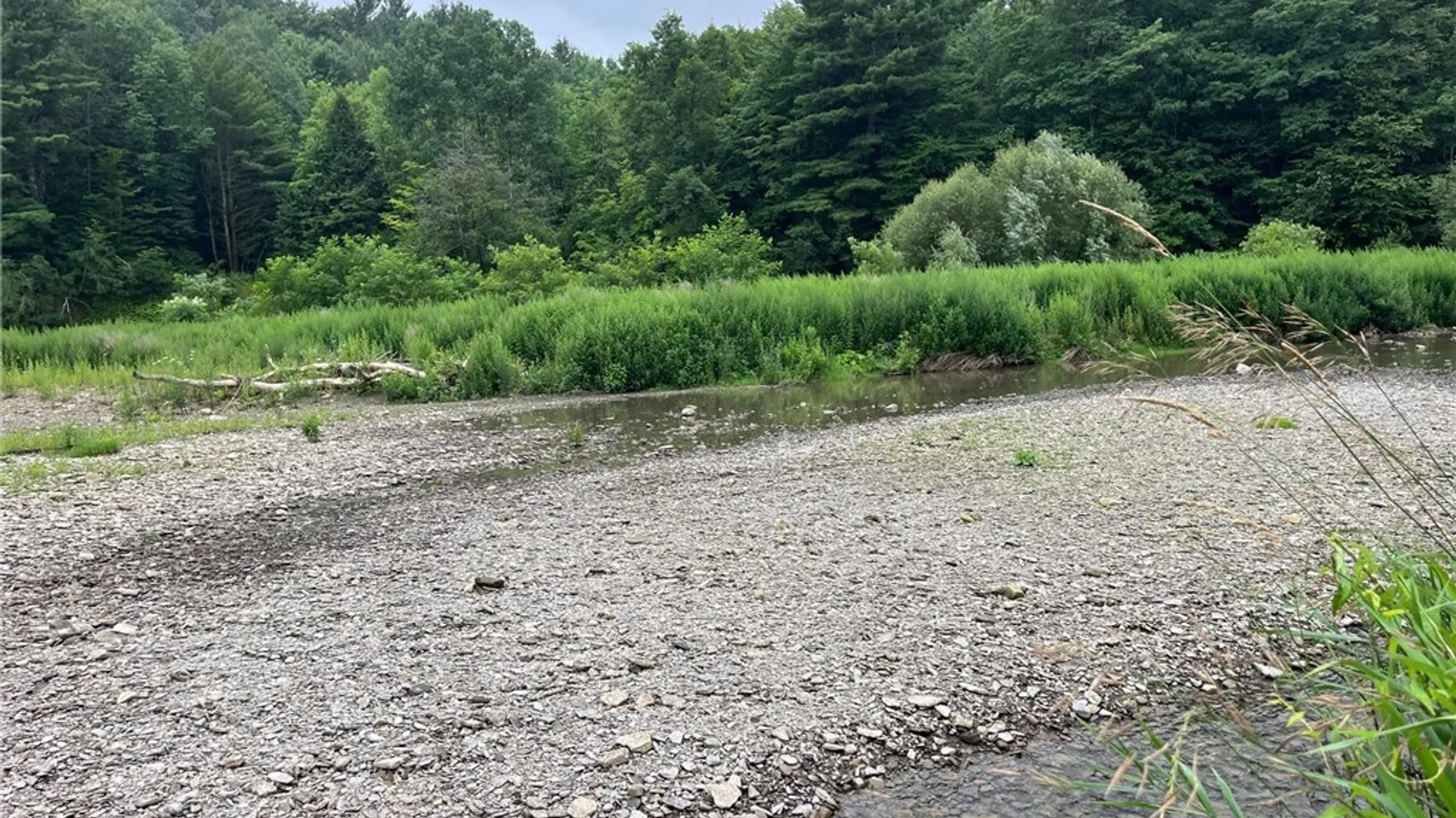 Property at 489 Route 62, Ellington, NY 14726 24
