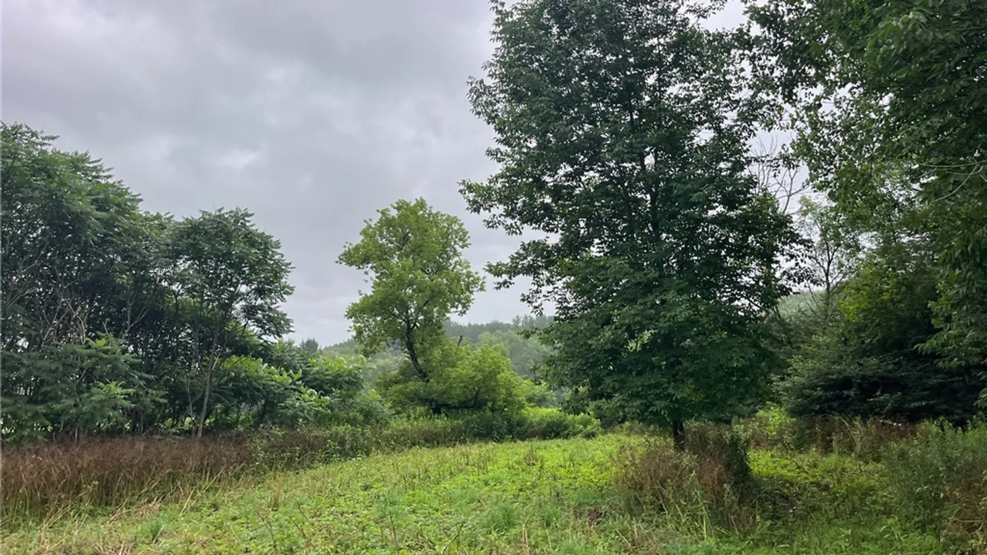 Property at 489 Route 62, Ellington, NY 14726 26