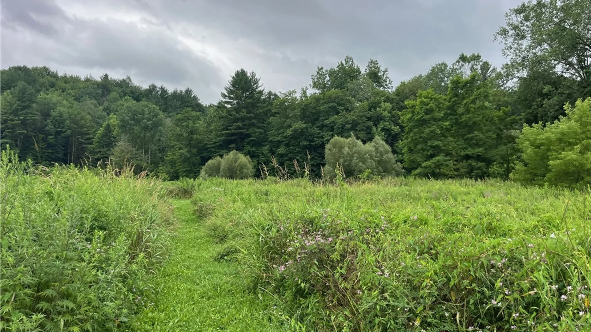 Property at 489 Route 62, Ellington, NY 14726 30