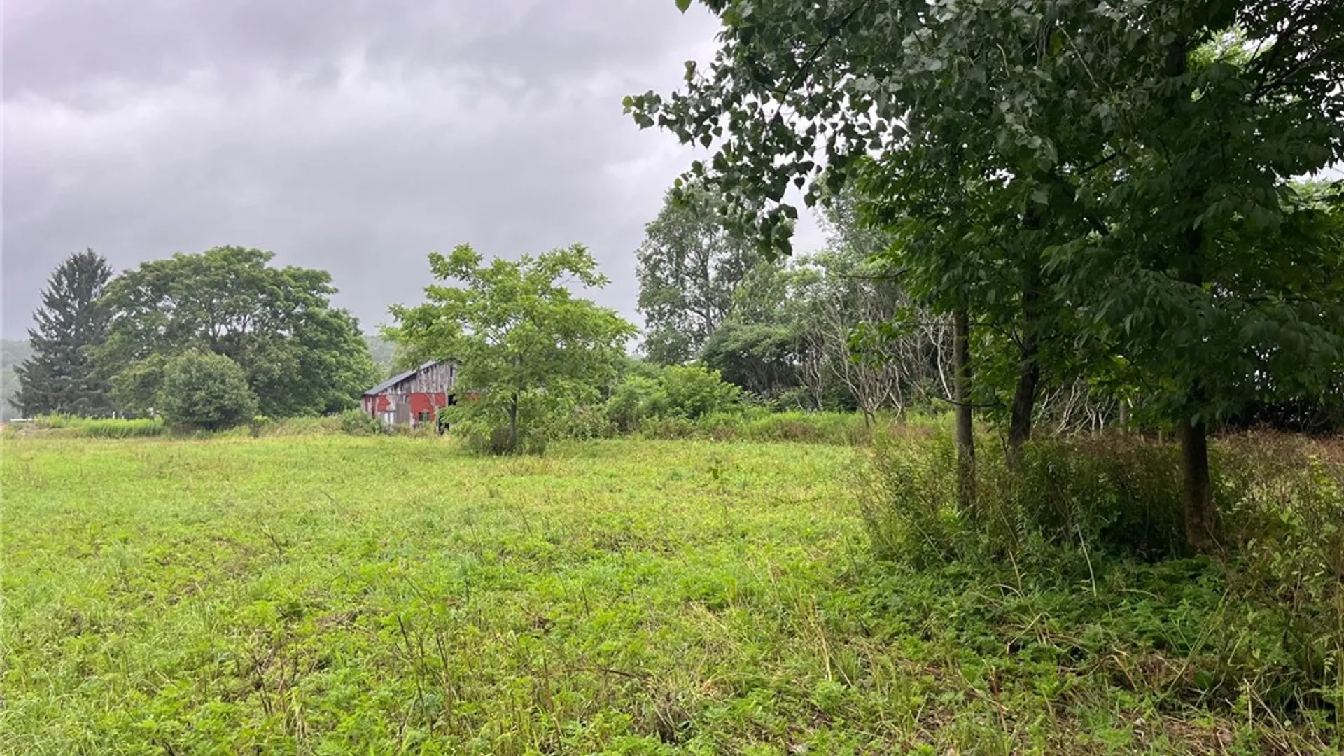 Property at 489 Route 62, Ellington, NY 14726 31