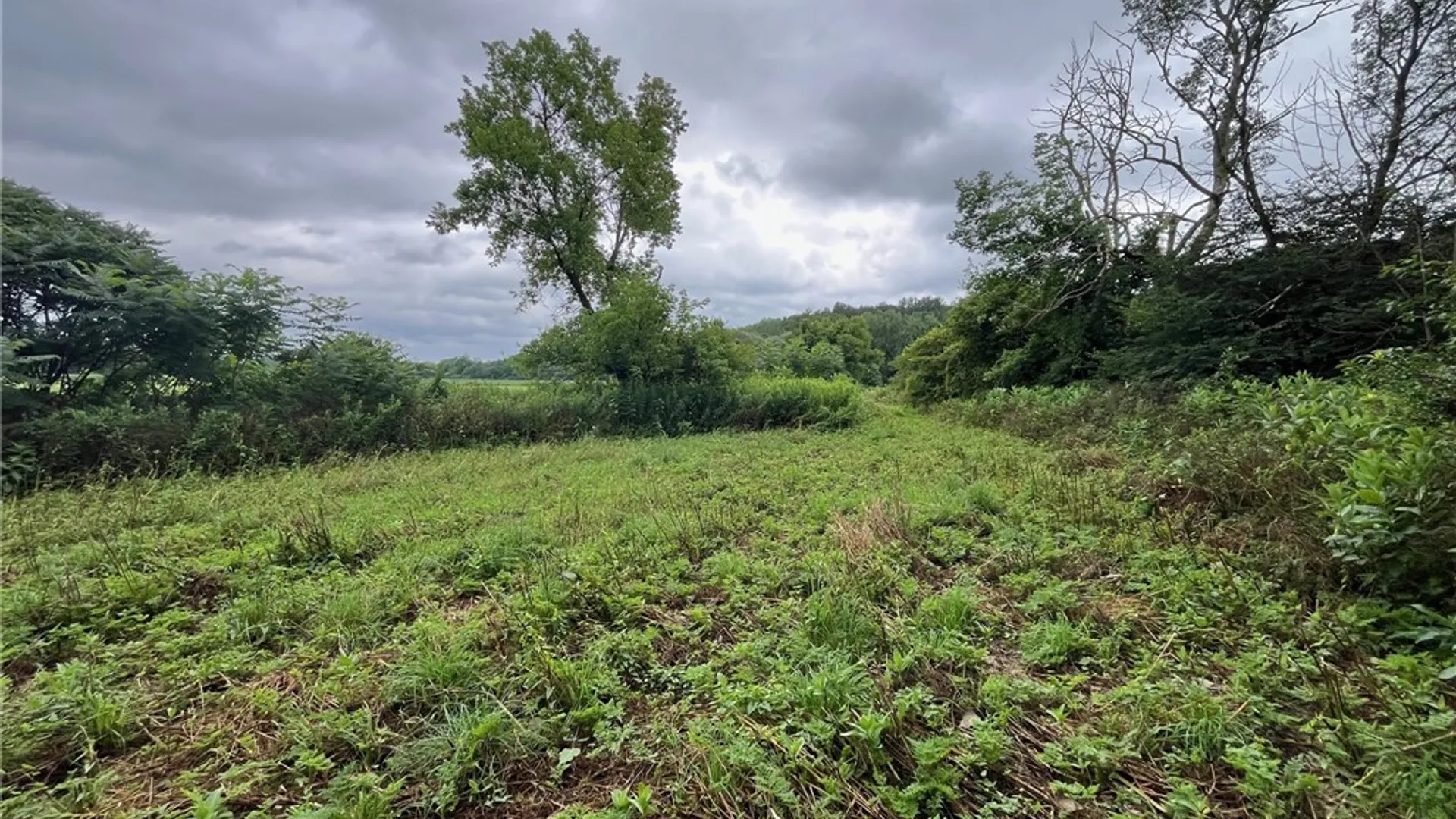 Property at 489 Route 62, Ellington, NY 14726 32
