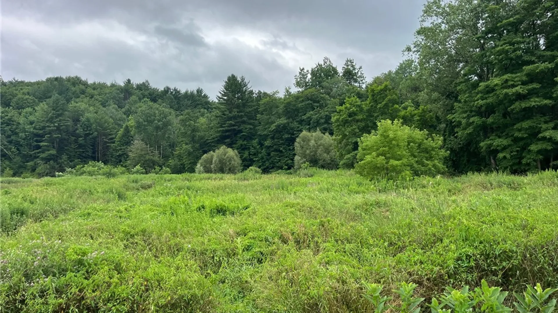 Property at 489 Route 62, Ellington, NY 14726 33