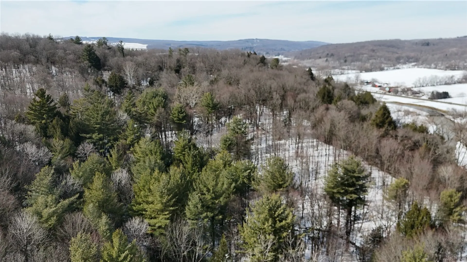 Property at 489 Route 62, Ellington, NY 14726 5