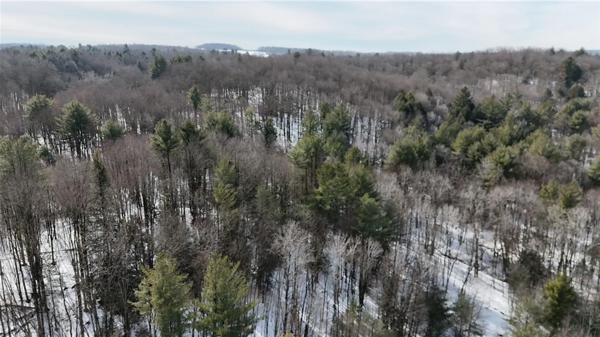 Property at 489 Route 62, Ellington, NY 14726 6