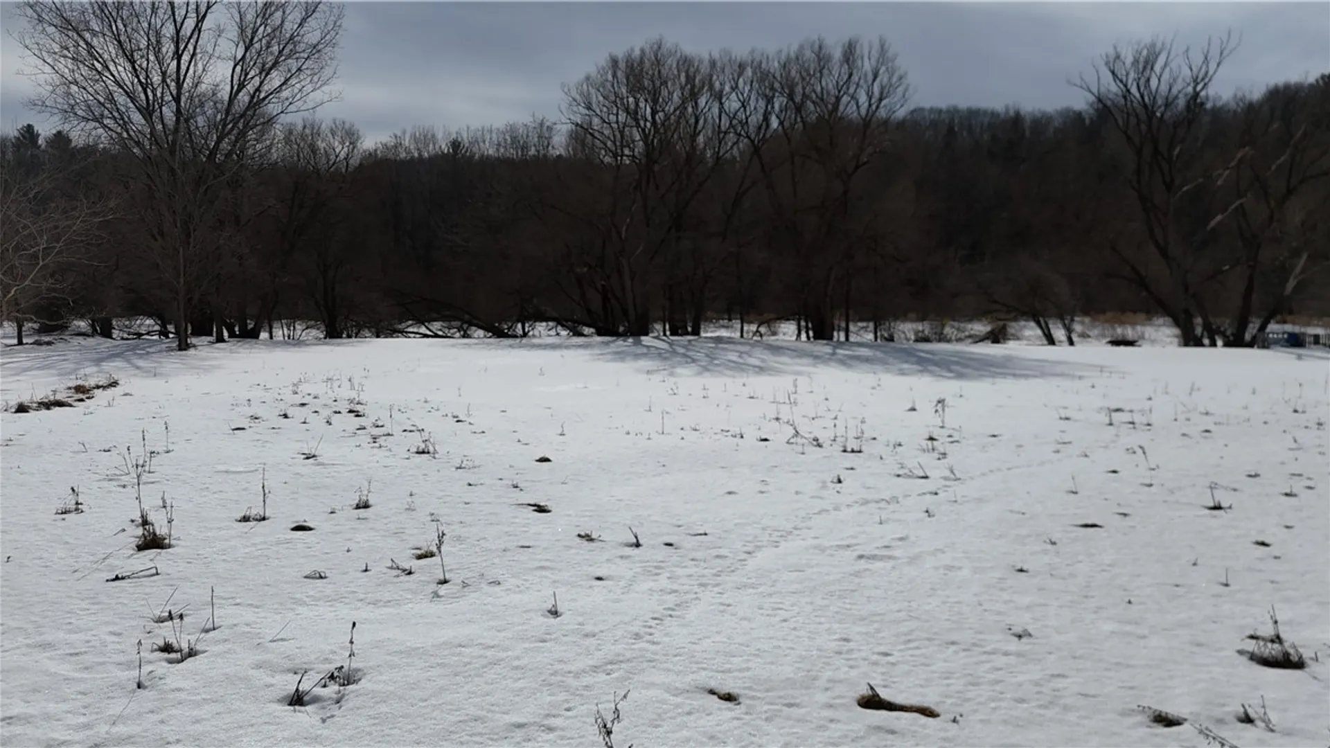 Property at 489 Route 62, Ellington, NY 14726 9