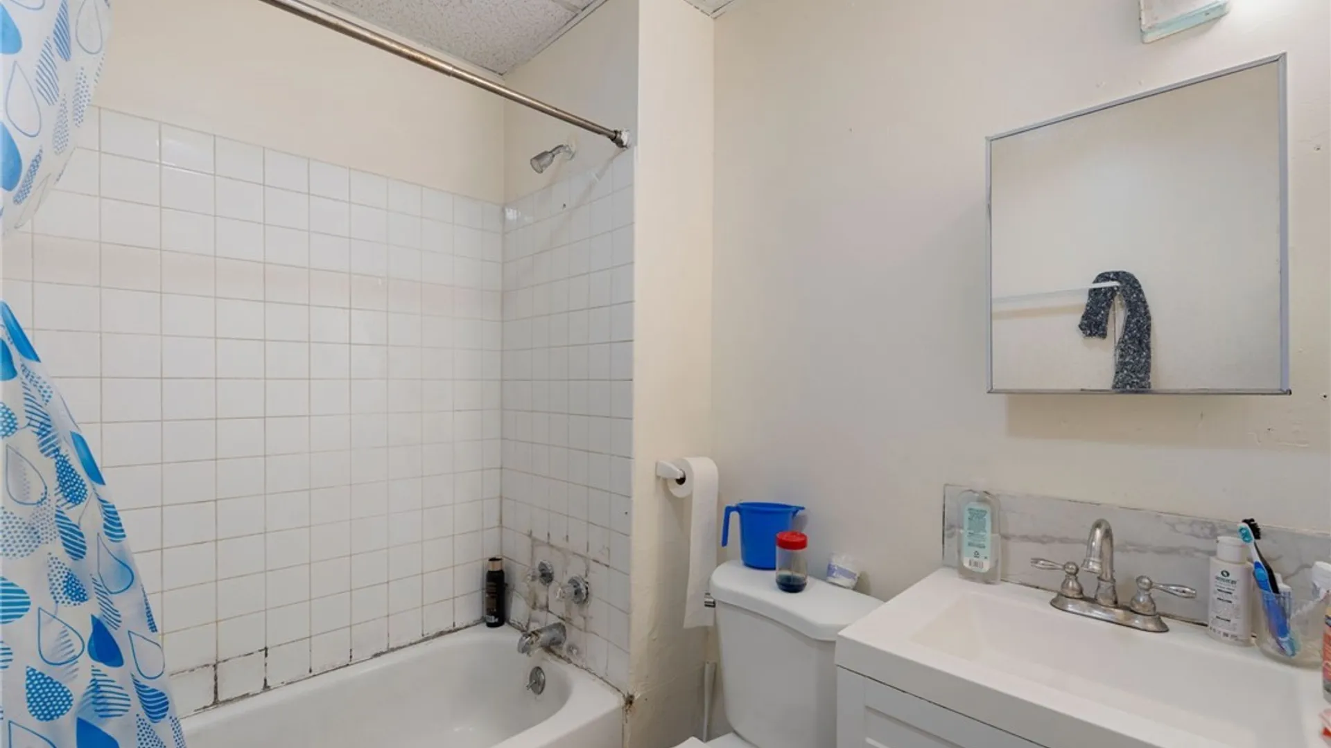 Property at 76 Butler Avenue, Buffalo, NY 14208 45
