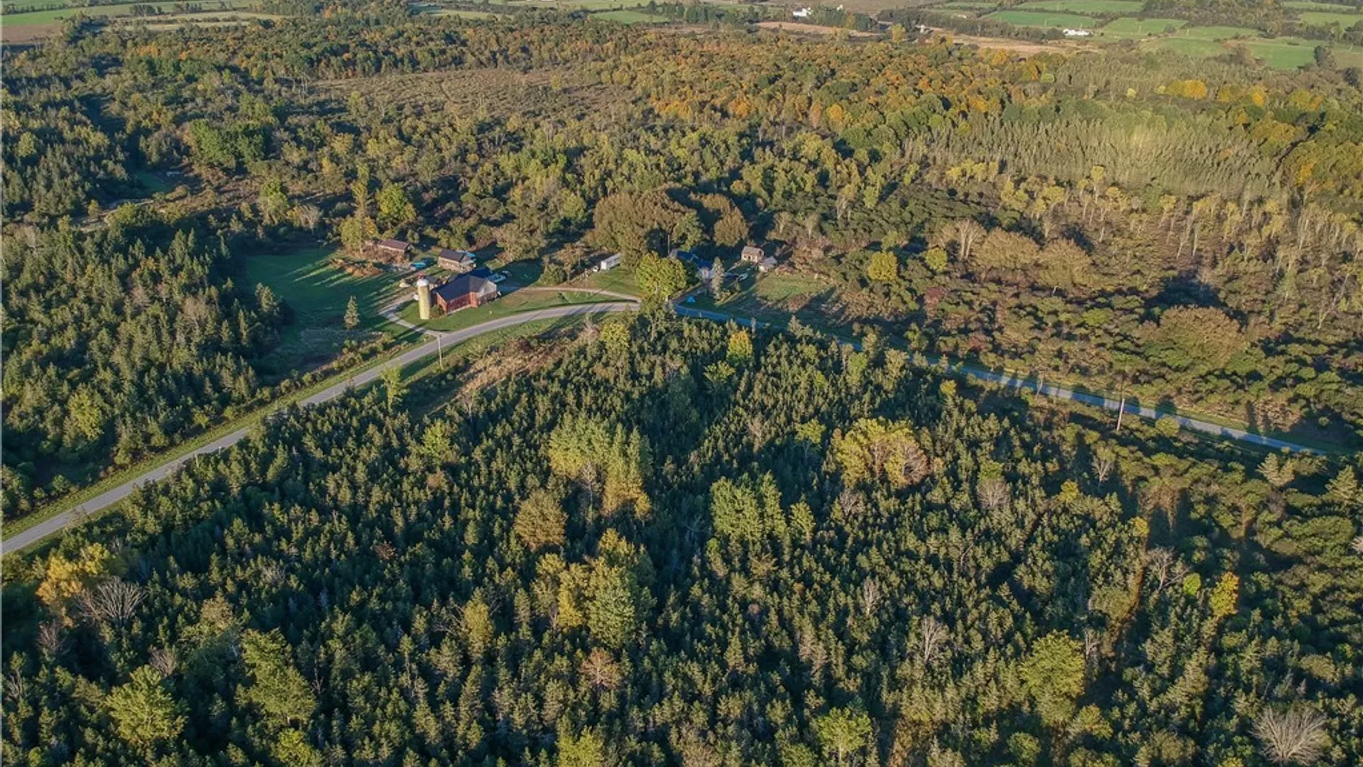 Property at Tubolino Road, Orleans, NY 13656 8