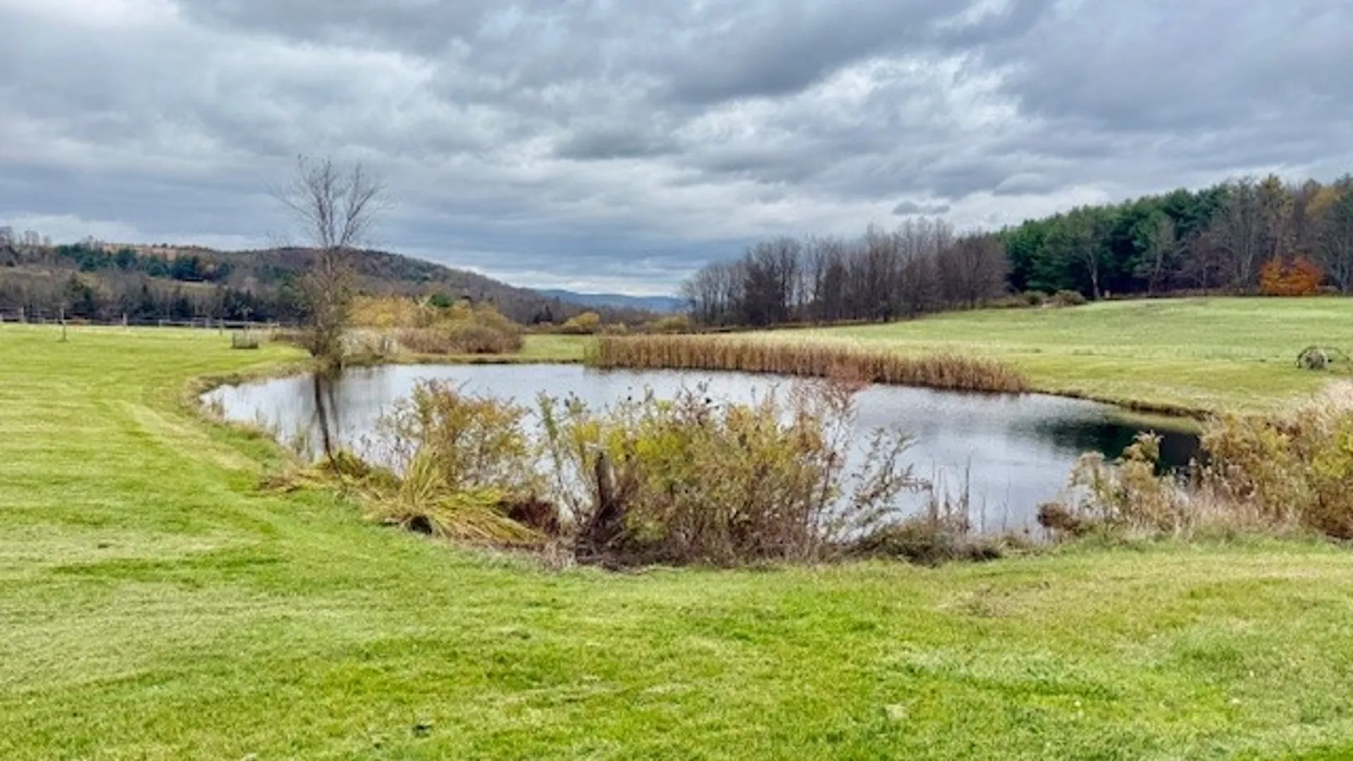 Property at 377 Stead Road, Norwich, NY 13843 12