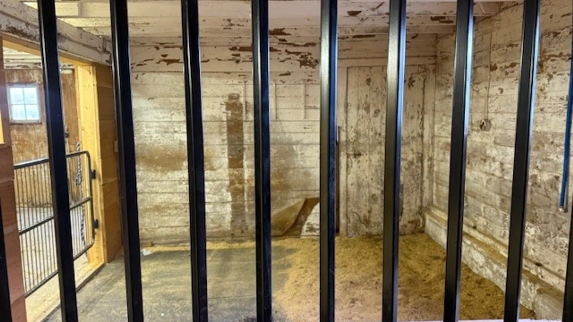 Property at 377 Stead Road, Norwich, NY 13843 39