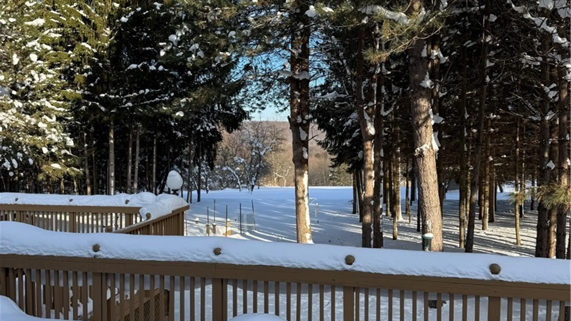 Property at 6553 Vermont Hill Road, Wales, NY 14139 43
