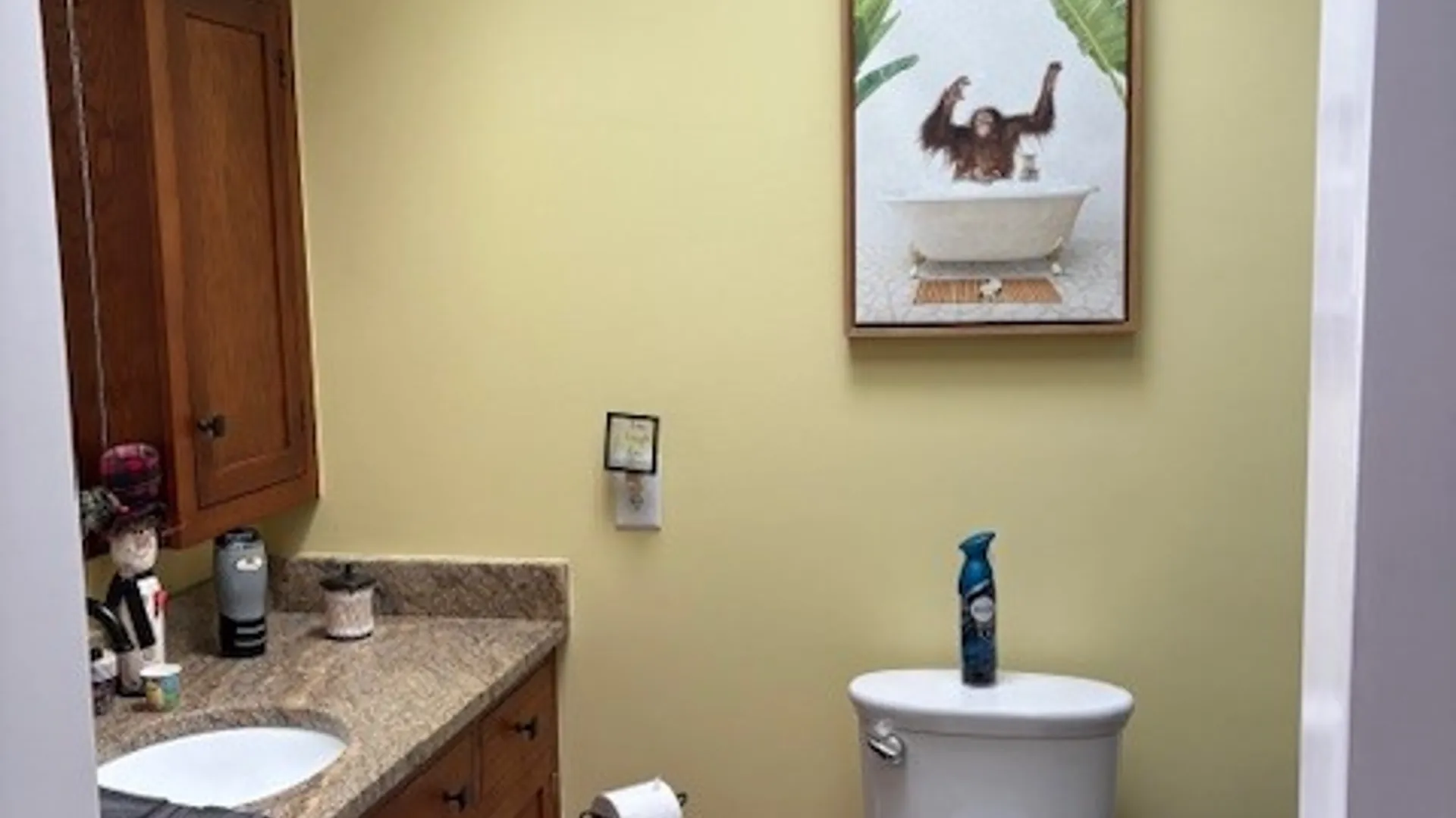 Property at 5 Vernon Place, Big Flats, NY 14871 25