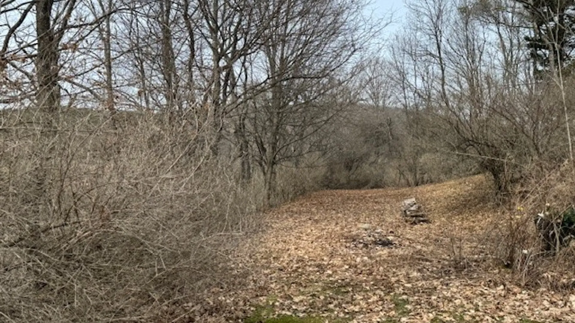 Property at 101 State Route 21, Andover, NY 14806 31