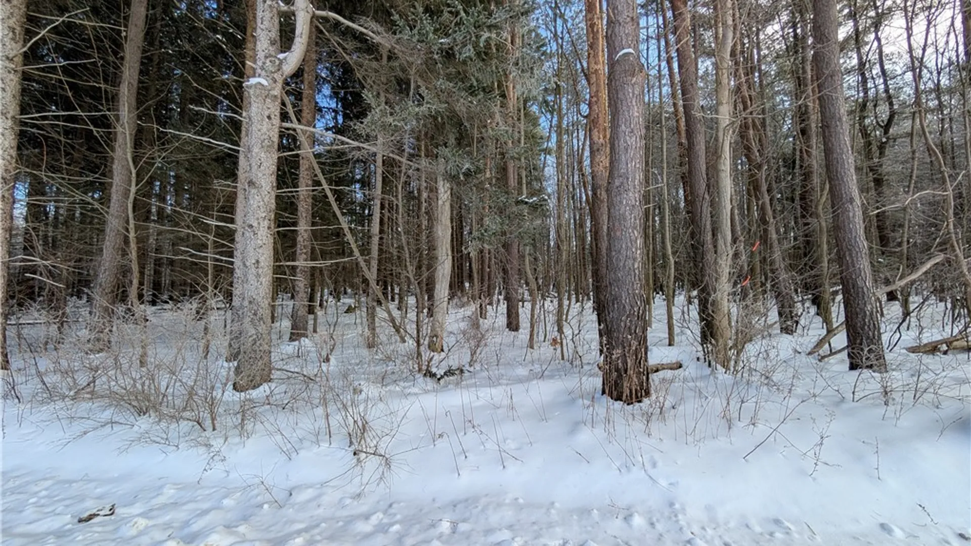 Property at 1842-1 Route 426, French Creek, NY 14724 10