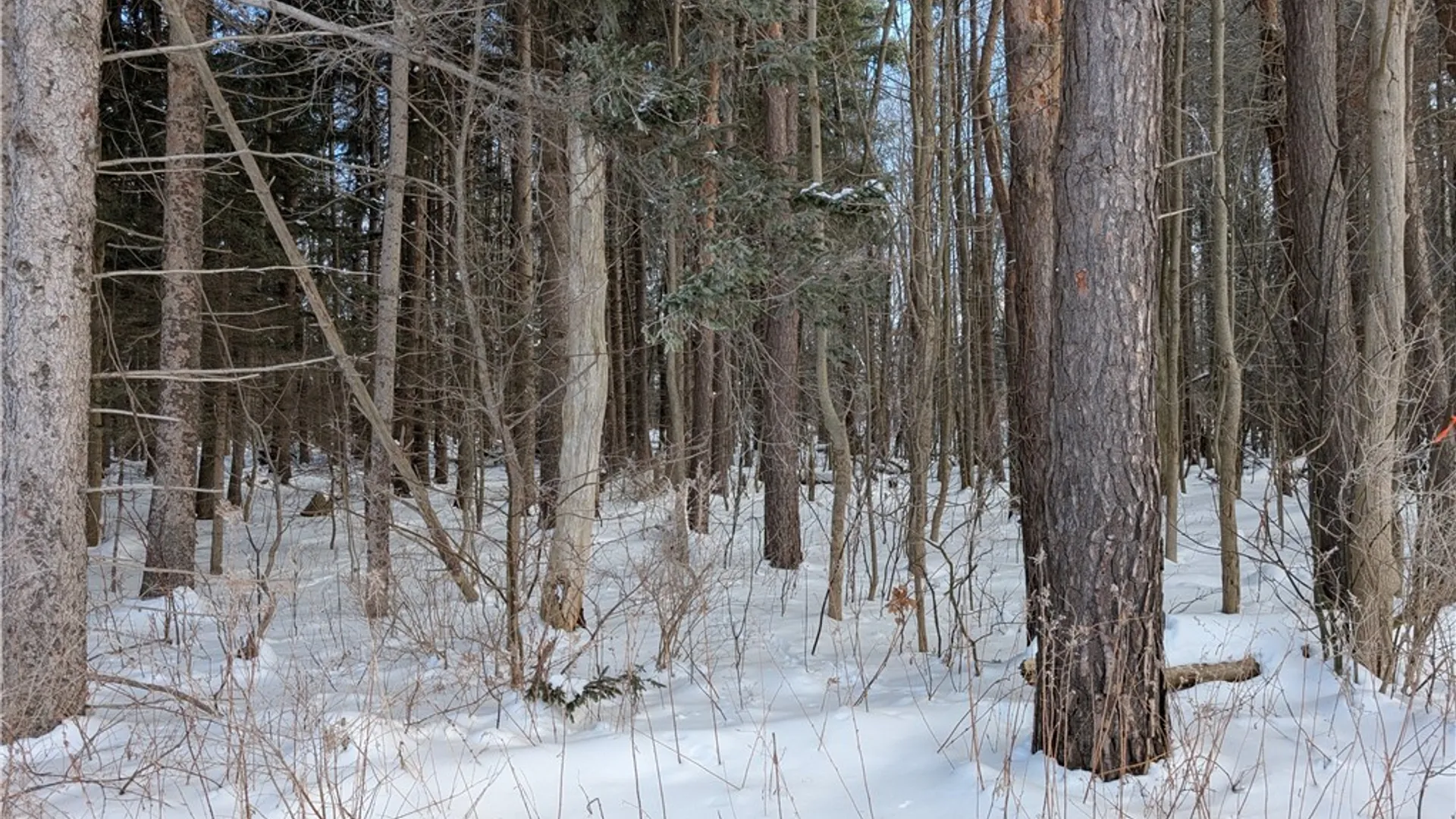 Property at 1842-1 Route 426, French Creek, NY 14724 11