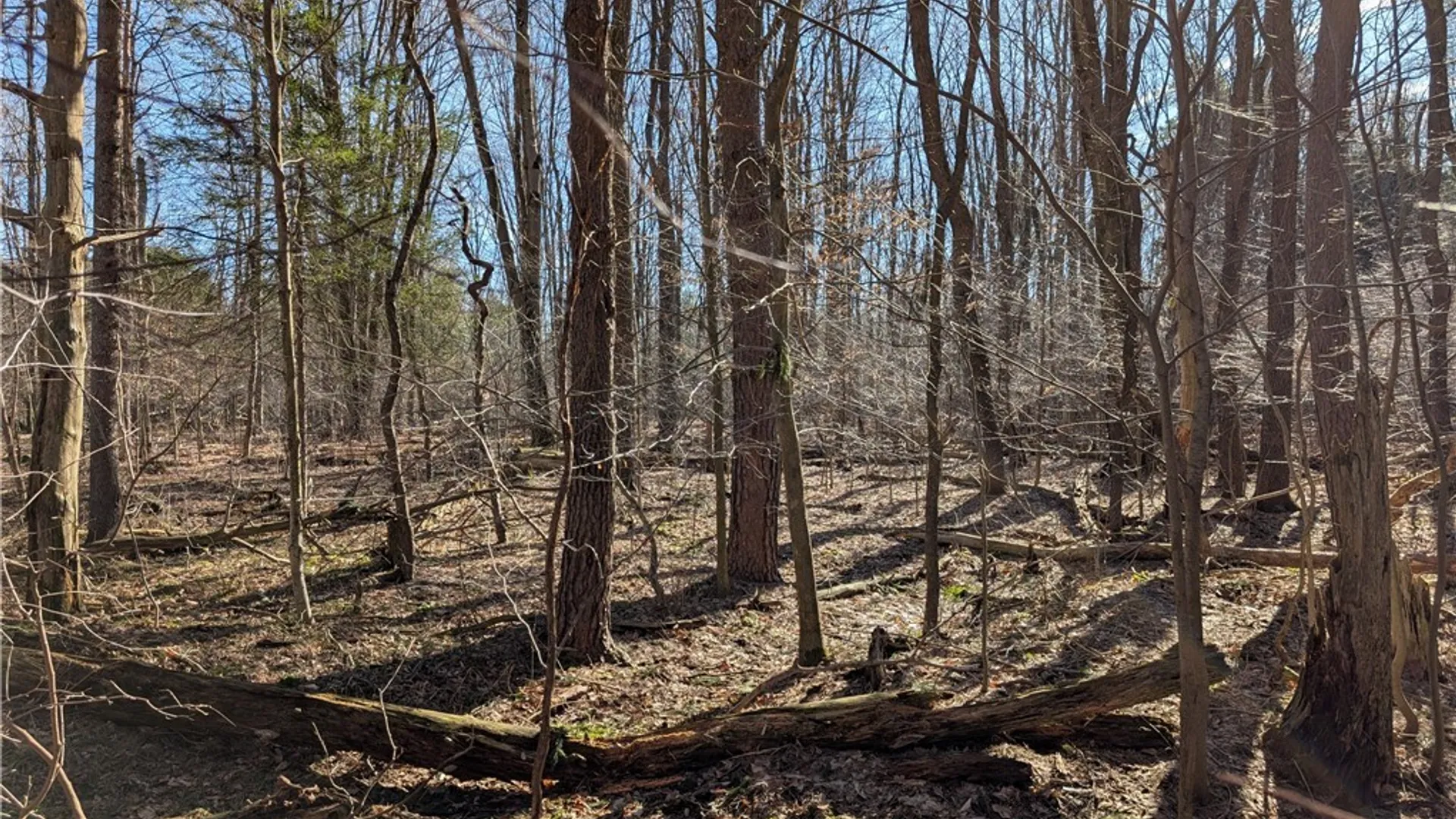 Property at 1842-1 Route 426, French Creek, NY 14724 15