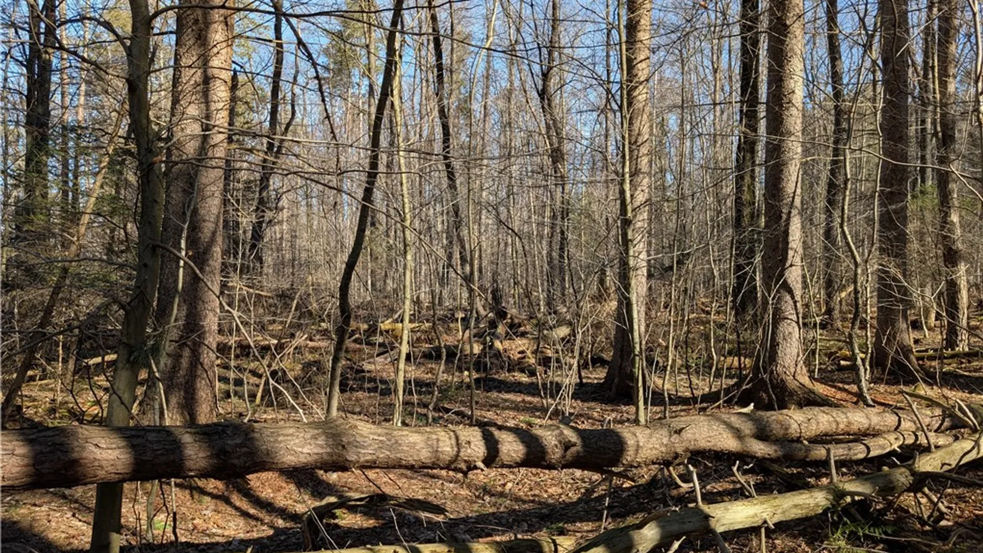 Property at 1842-1 Route 426, French Creek, NY 14724 16