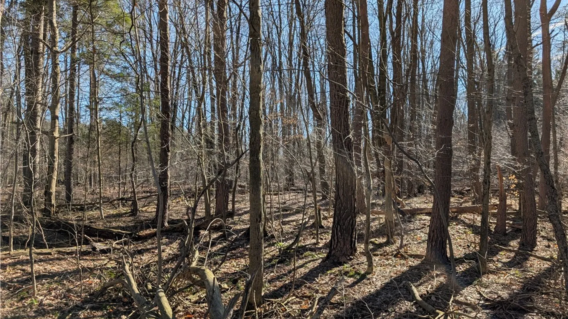 Property at 1842-1 Route 426, French Creek, NY 14724 17