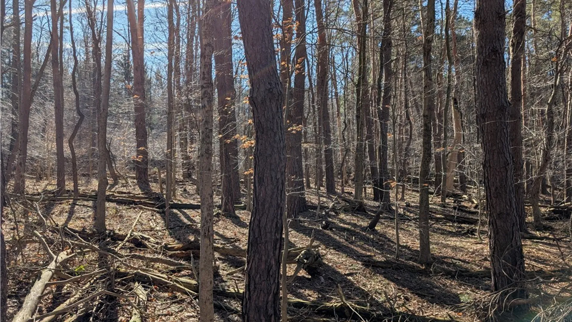 Property at 1842-1 Route 426, French Creek, NY 14724 18