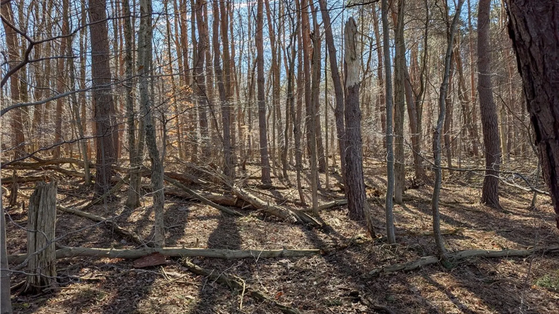 Property at 1842-1 Route 426, French Creek, NY 14724 19