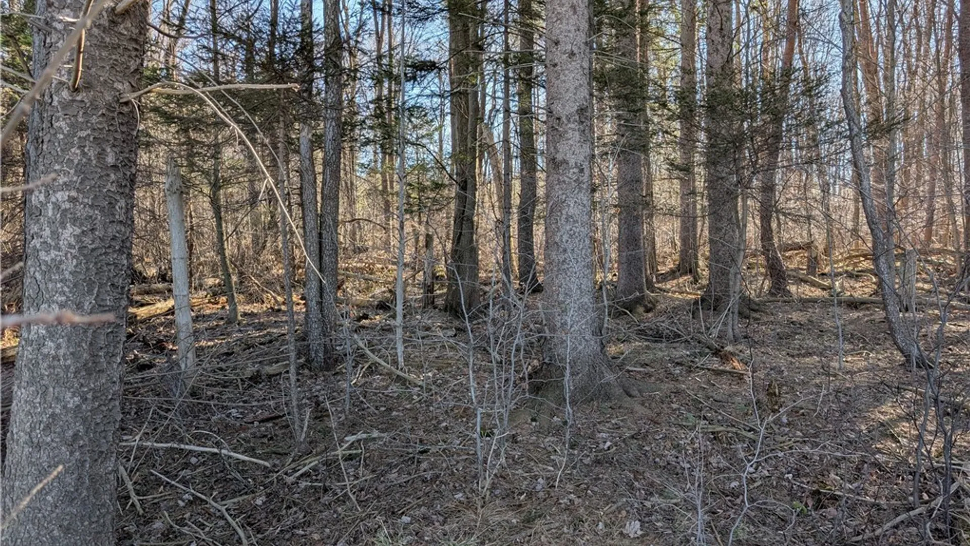 Property at 1842-1 Route 426, French Creek, NY 14724 20