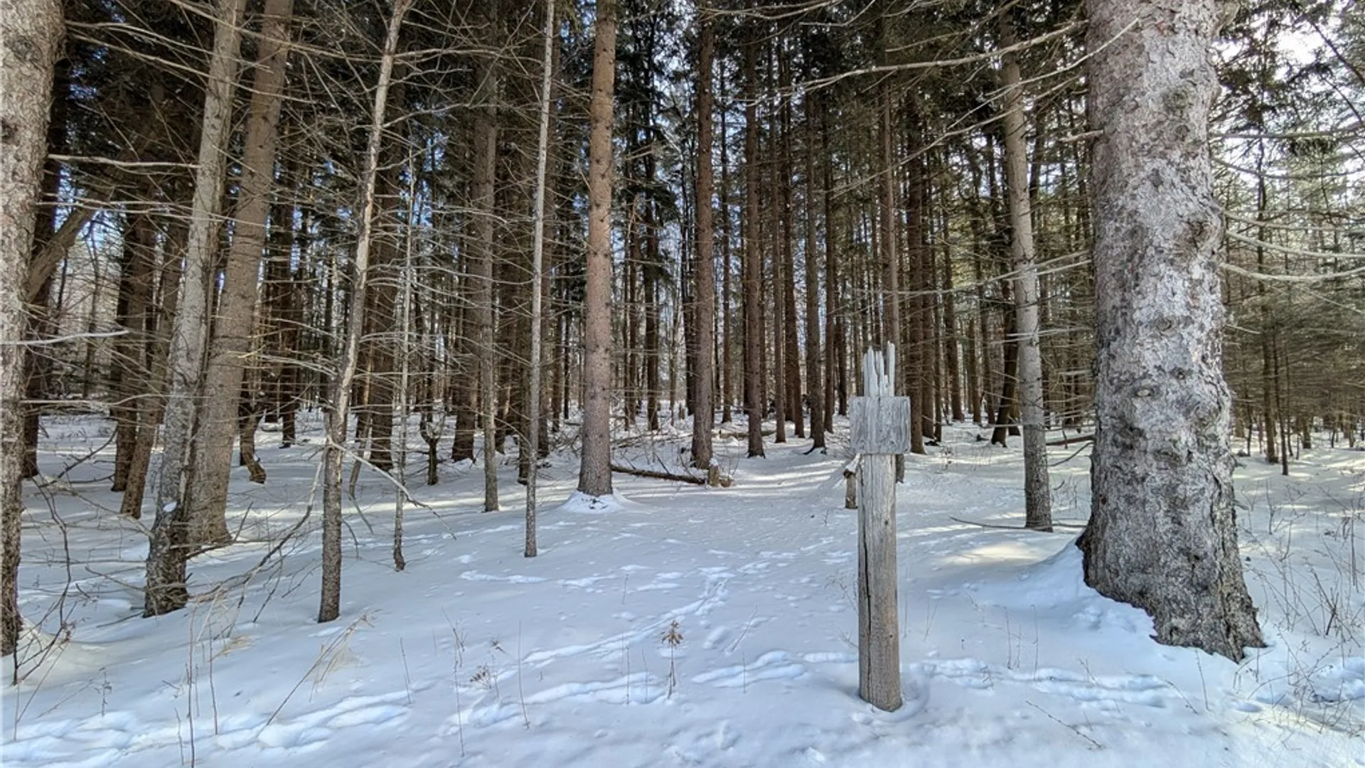 Property at 1842-1 Route 426, French Creek, NY 14724 7