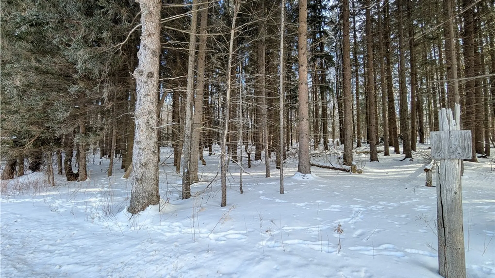 Property at 1842-1 Route 426, French Creek, NY 14724 8