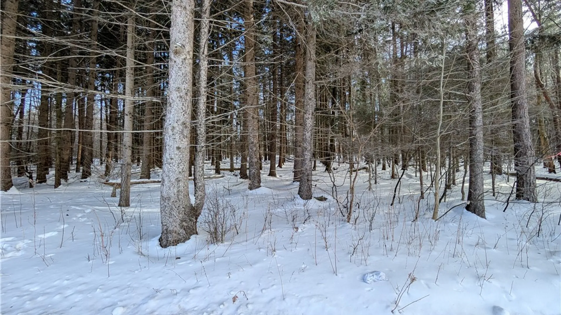 Property at 1842-1 Route 426, French Creek, NY 14724 9