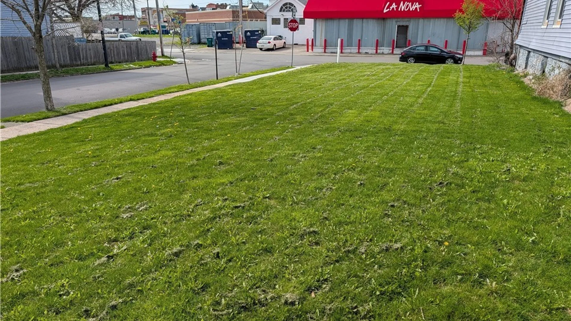 Property at 393 Hampshire Street, Buffalo, NY 14213 2