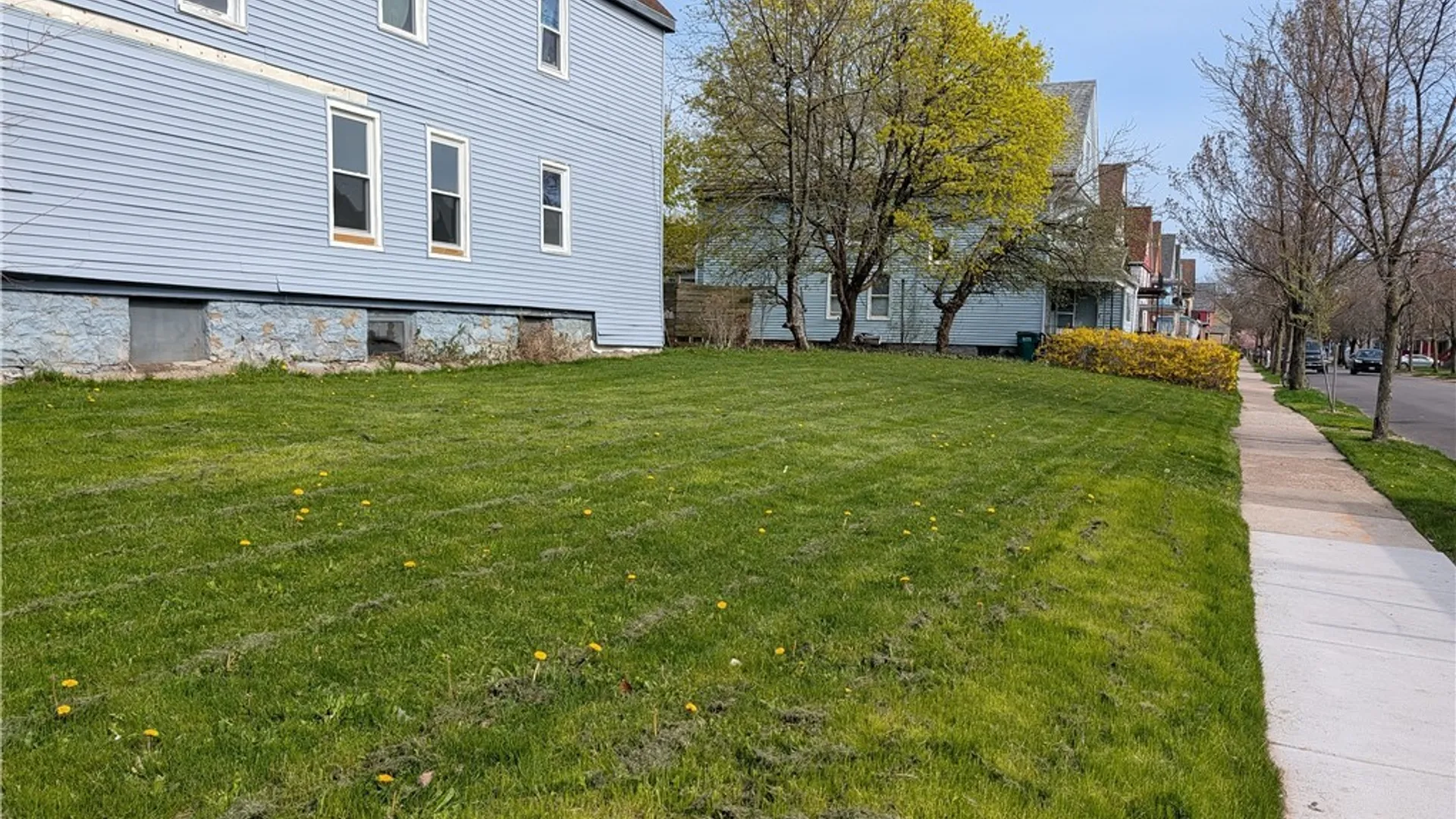 Property at 393 Hampshire Street, Buffalo, NY 14213 3