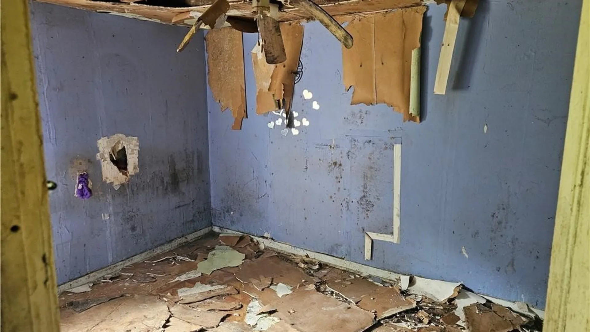 Property at 131 Main Street, Belfast, NY 14711 10