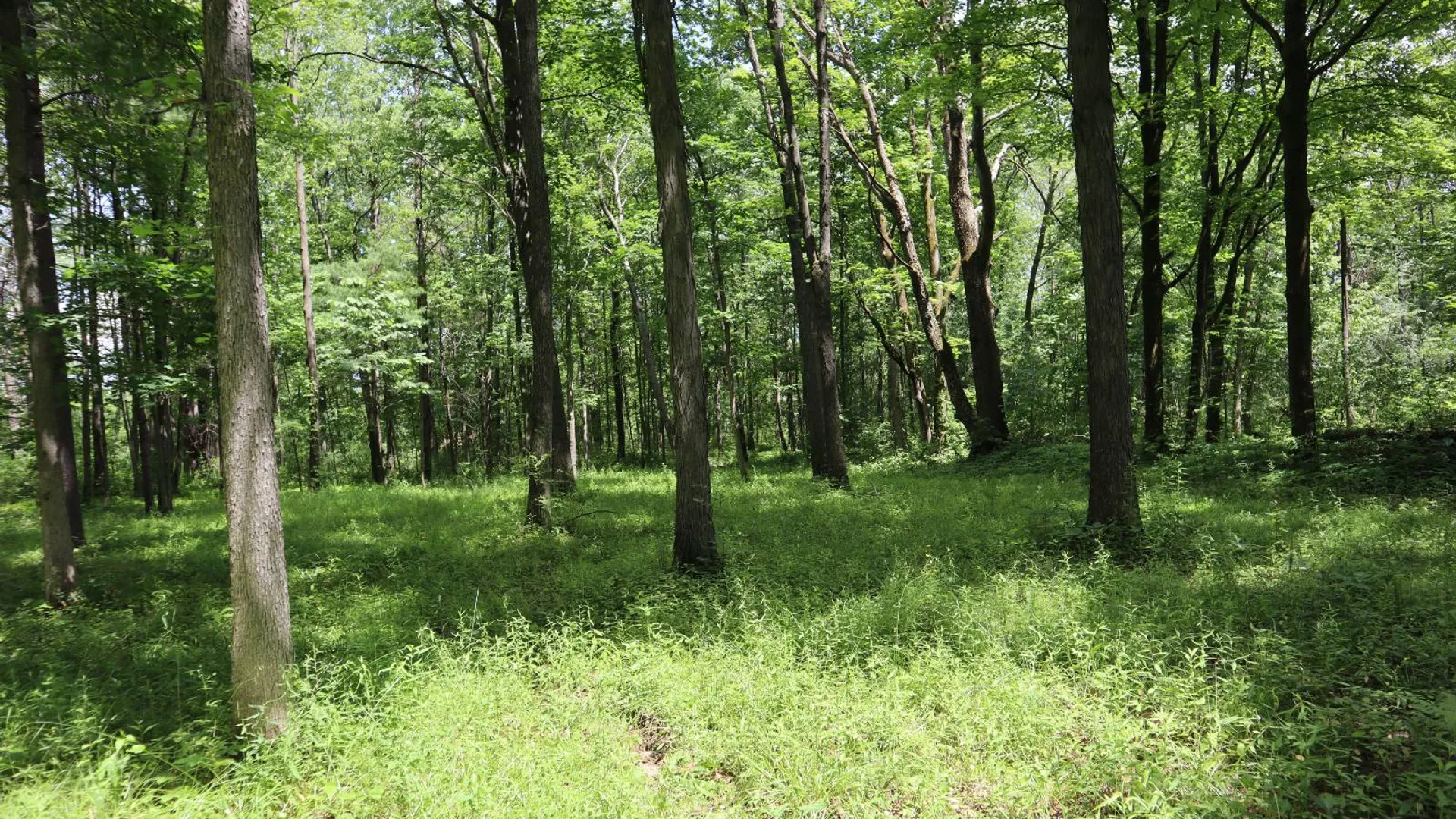 Property at 0 Sacandaga Road, Glenville, NY 12302 10