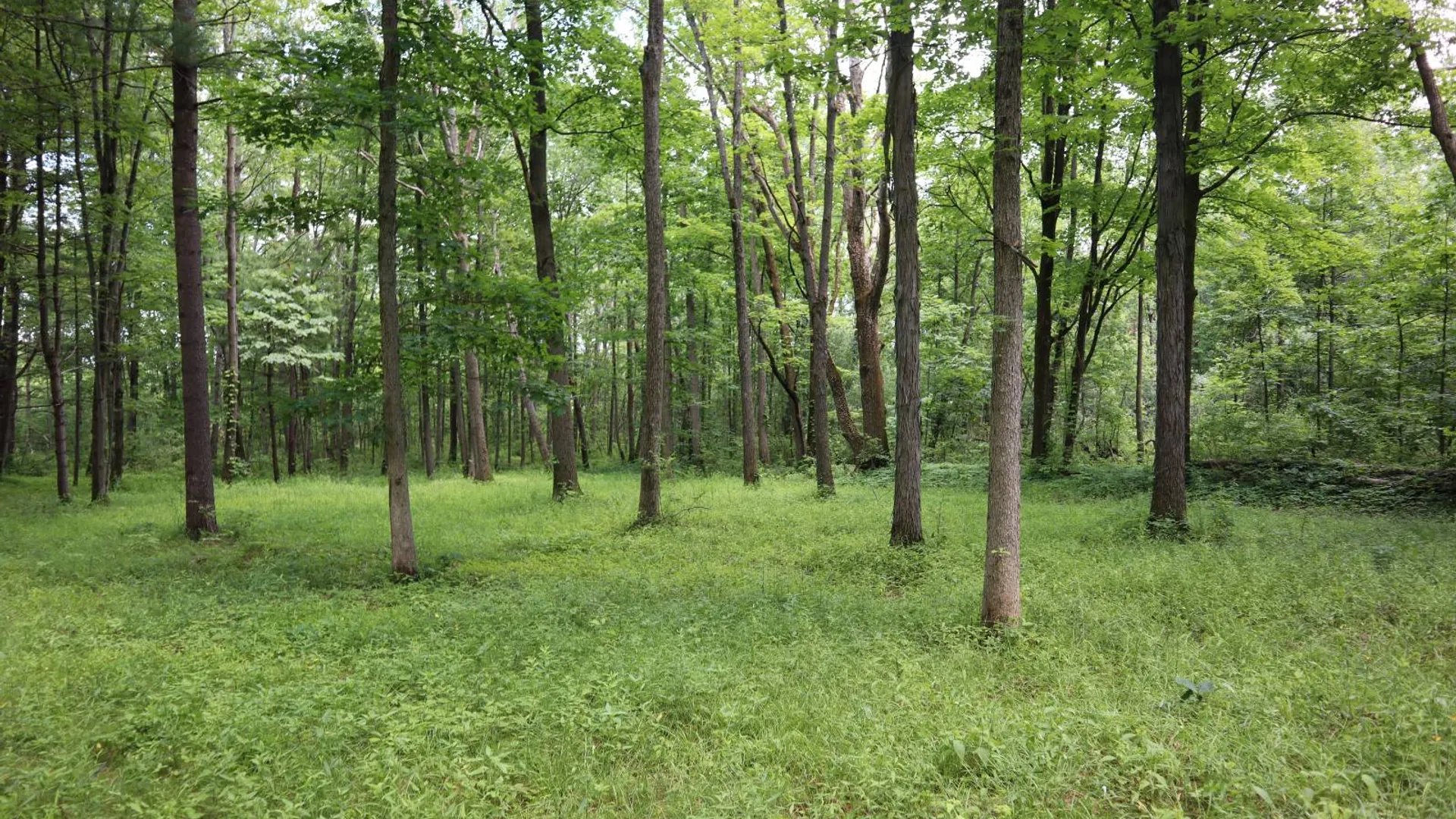 Property at 0 Sacandaga Road, Glenville, NY 12302 12