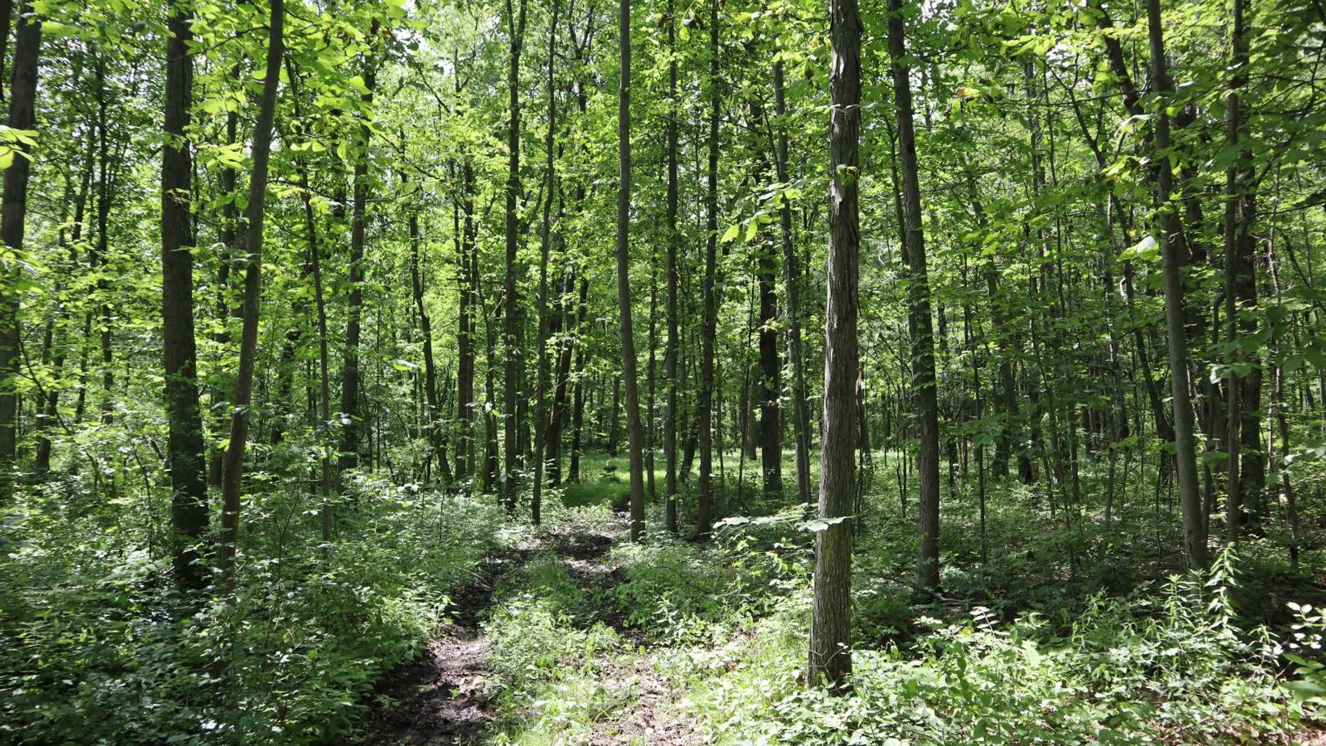 Property at 0 Sacandaga Road, Glenville, NY 12302 13